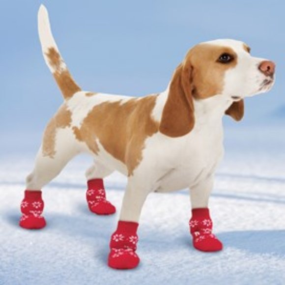 Lanboer Other - Brand NEW Red Paw Prints Gripper Dog Socks  1 Set